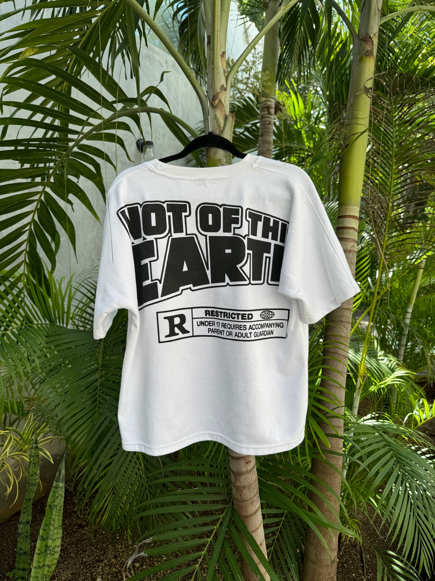 “Not of this Earth” Boxy Tee