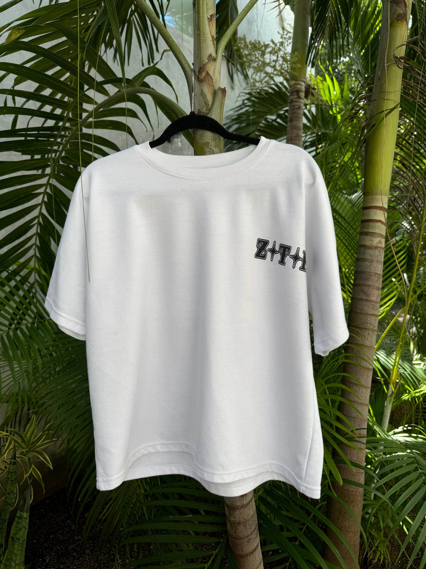 “Not of this Earth” Boxy Tee